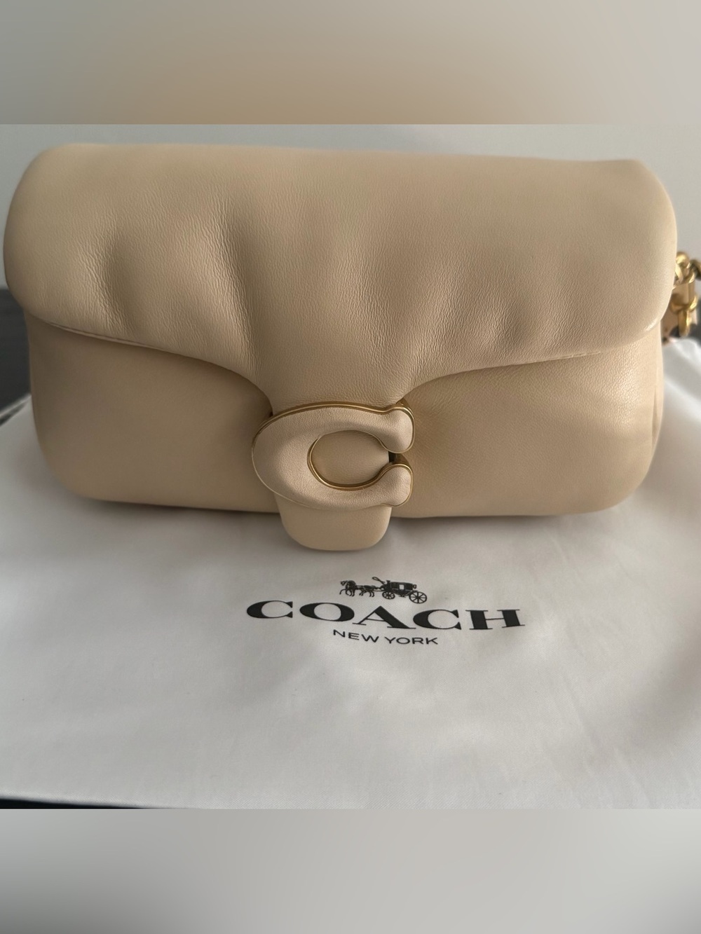 Coach Pillow Tabby Bag
